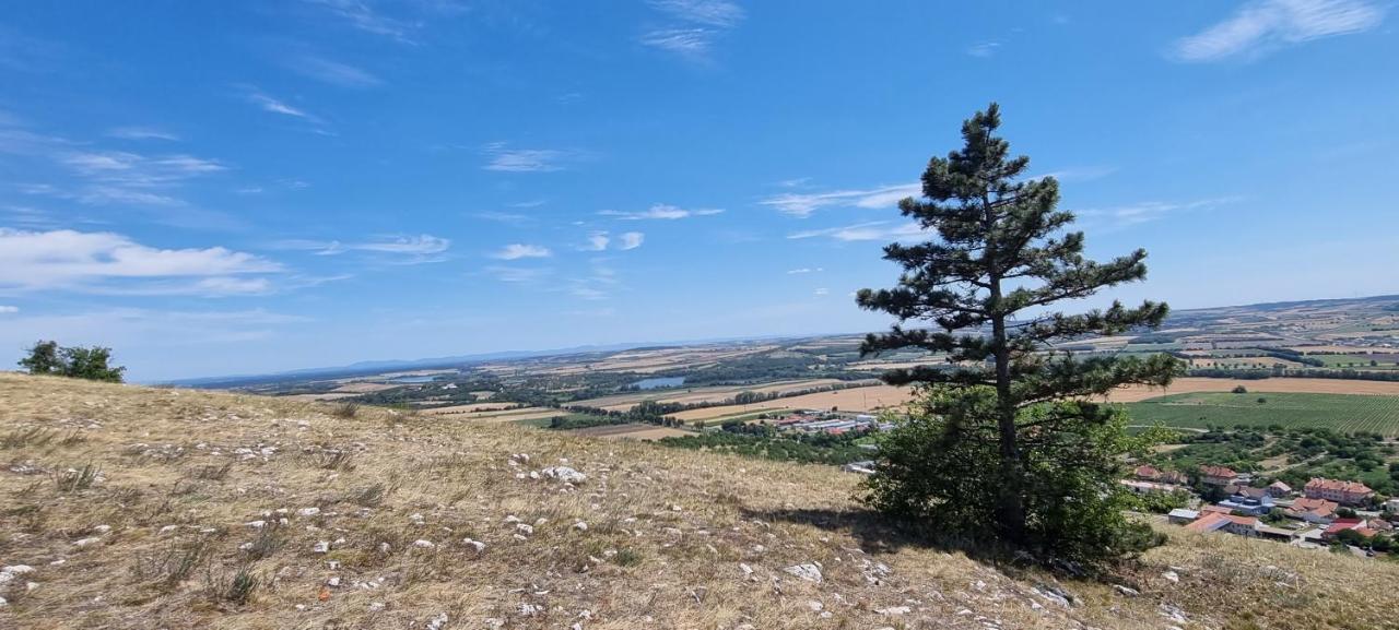 Apartman Viktorie Mikulov Exteriör bild